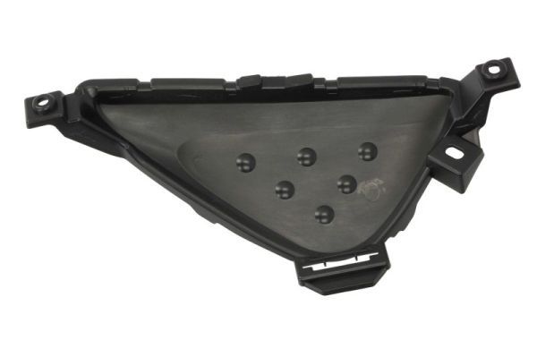 BLIC 6502-07-8189913P Cap, front fog light