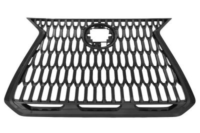 Radiator Grille BLIC 6502-07-8268994P