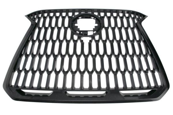 BLIC 6502-07-8268995P Radiator Grille
