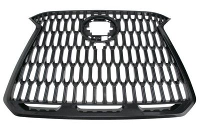 Radiator Grille BLIC 6502-07-8268995P