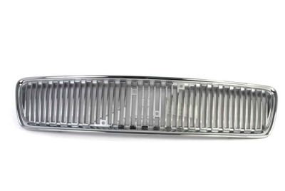 Radiator Grille BLIC 6502-07-9008990P