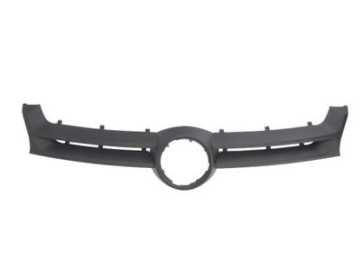 Radiator Grille BLIC 6502-07-9524990PP