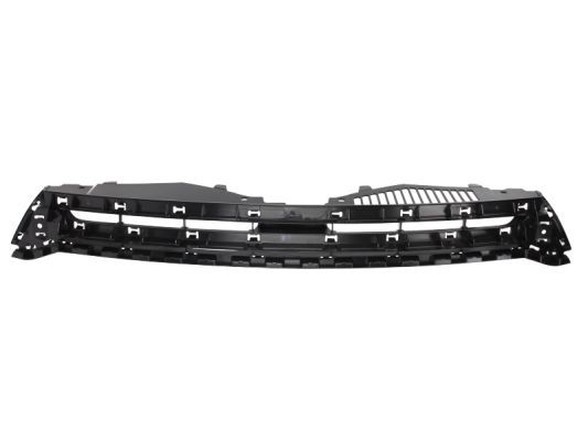 BLIC 6502-07-9532990P Radiator Grille