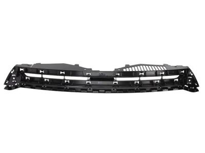 Radiator Grille BLIC 6502-07-9532990P