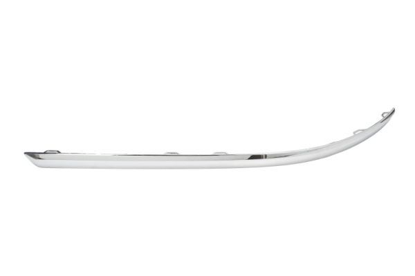 BLIC 6502-07-9547974P Trim/Protection Strip, bumper