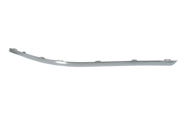 BLIC 6502-07-9547976P Trim/Protection Strip, bumper