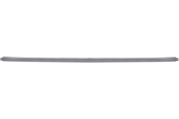 BLIC 6502-07-9586975P Trim/Protection Strip, bumper
