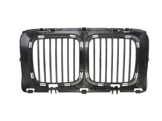 BLIC 6502-07-0057990P Radiator Grille