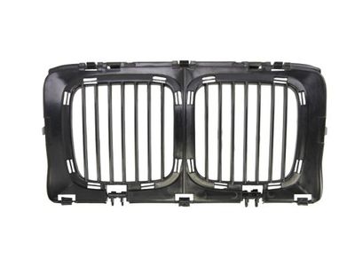 Radiator Grille BLIC 6502-07-0057990P