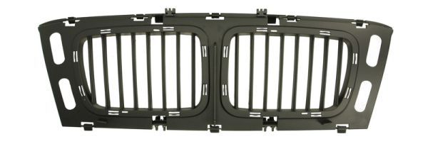BLIC 6502-07-0057999P Radiator Grille