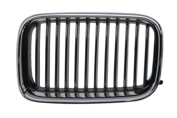 BLIC 6502-07-0060991P Radiator Grille
