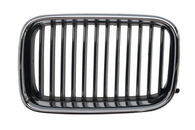 Radiator Grille BLIC 6502-07-0060991P