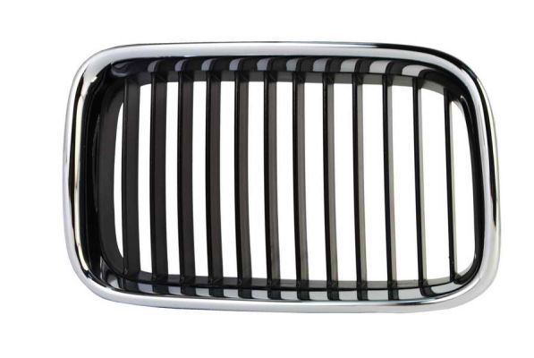 BLIC 6502-07-0060992P Radiator Grille