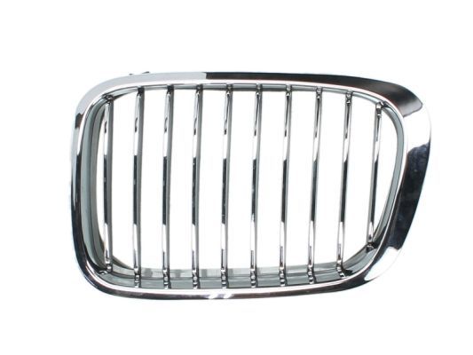 BLIC 6502-07-0061991P Radiator Grille