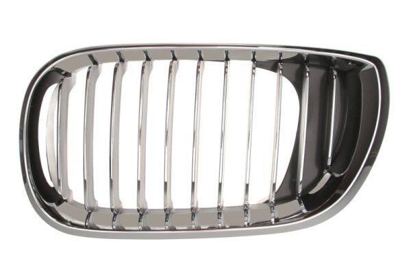 BLIC 6502-07-0061991PP Radiator Grille