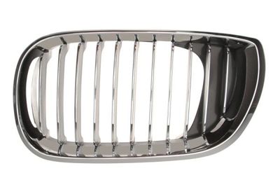 Radiator Grille BLIC 6502-07-0061991PP