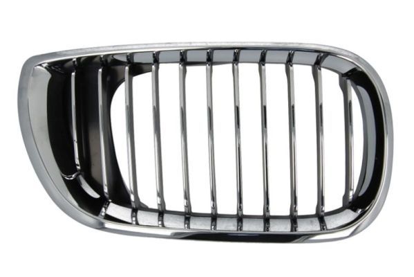 BLIC 6502-07-0061992PP Radiator Grille