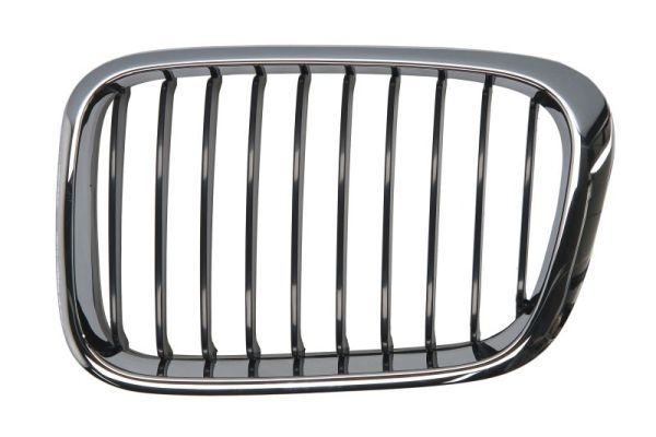 BLIC 6502-07-0061993P Radiator Grille