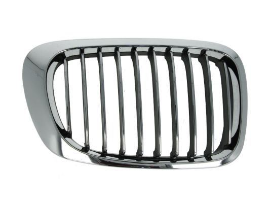 BLIC 6502-07-0061993PP Radiator Grille