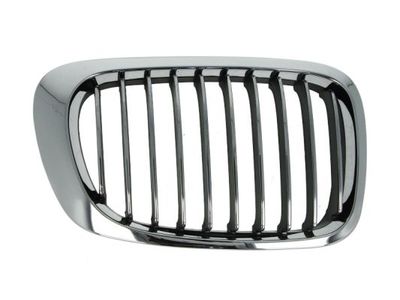 Radiator Grille BLIC 6502-07-0061993PP