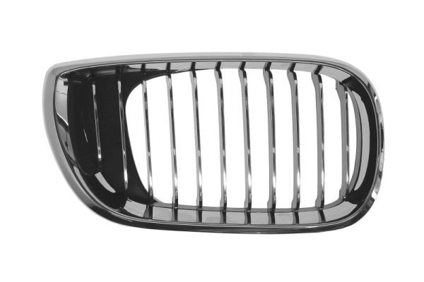 BLIC 6502-07-0061994AP Radiator Grille
