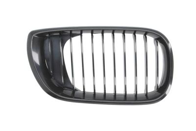 Radiator Grille BLIC 6502-07-0061994BP