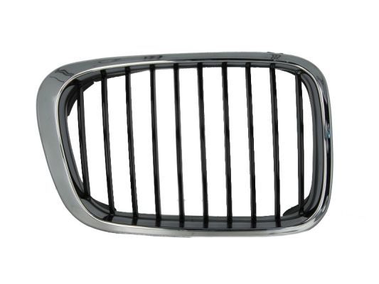 BLIC 6502-07-0061994P Radiator Grille
