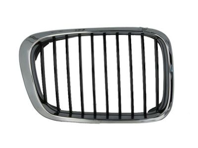 Radiator Grille BLIC 6502-07-0061994P