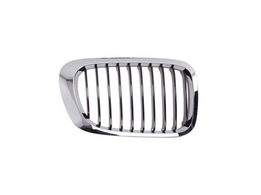 BLIC 6502-07-0061994PP Radiator Grille
