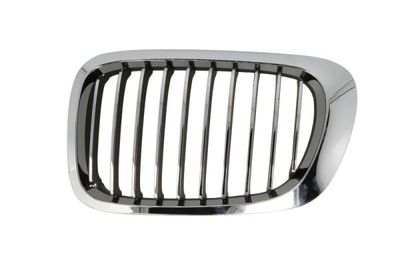 Radiator Grille BLIC 6502-07-0061996LP