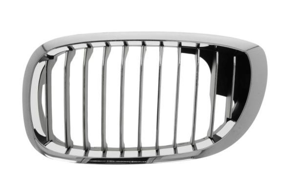 BLIC 6502-07-0061997LP Radiator Grille