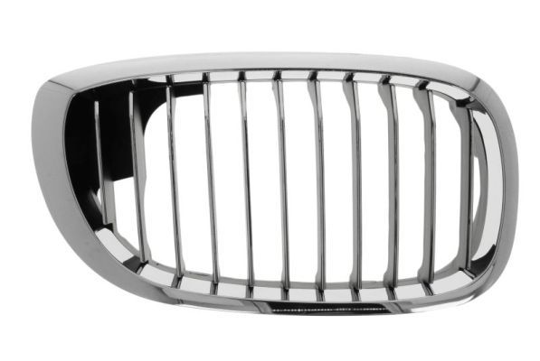 BLIC 6502-07-0061997PP Radiator Grille