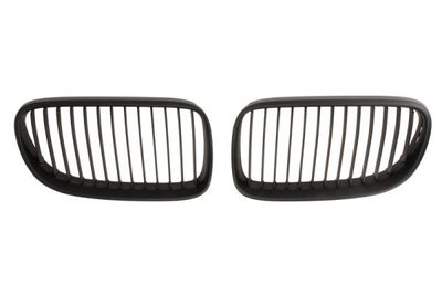 Radiator Grille BLIC 6502-07-0062911KP