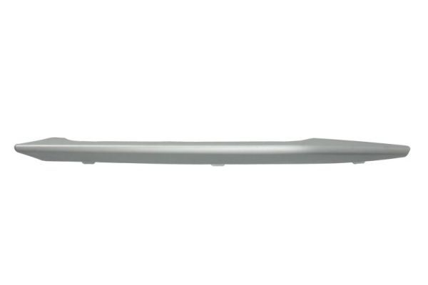 BLIC 6502-07-0062927P Trim/Protection Strip, bumper
