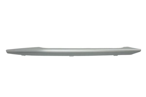 BLIC 6502-07-0062928P Trim/Protection Strip, bumper