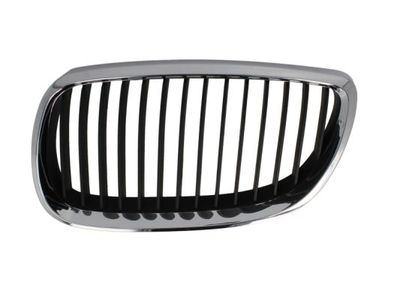 Radiator Grille BLIC 6502-07-00629911P