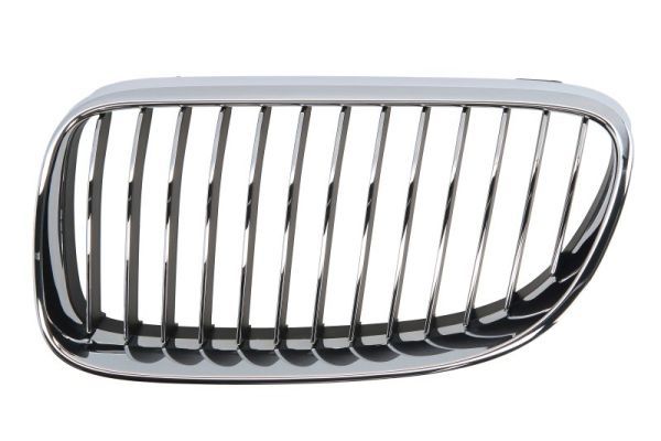 BLIC 6502-07-00629915PP Radiator Grille