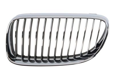 Radiator Grille BLIC 6502-07-00629915PP