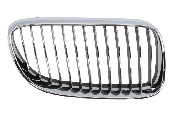 BLIC 6502-07-00629916PP Radiator Grille