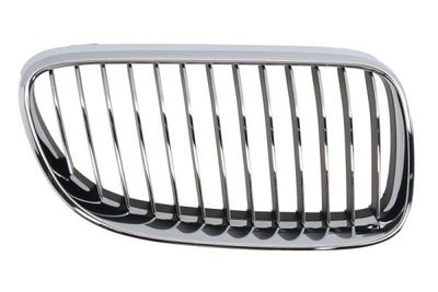 Radiator Grille BLIC 6502-07-00629916PP