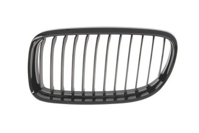 Radiator Grille BLIC 6502-07-0062991BP