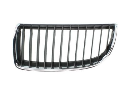 Radiator Grille BLIC 6502-07-0062991P
