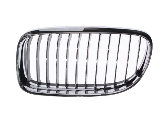 BLIC 6502-07-0062991PP Radiator Grille