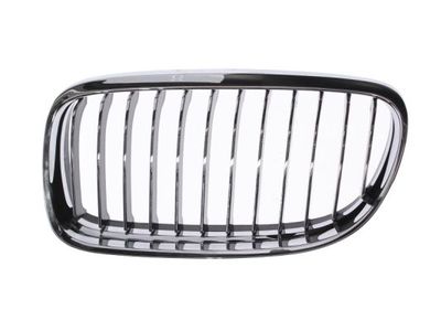 Radiator Grille BLIC 6502-07-0062991PP