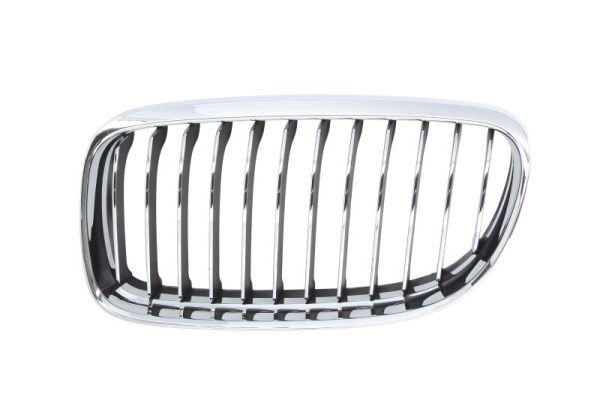 BLIC 6502-07-0062991PQ Radiator Grille