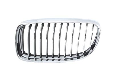 Radiator Grille BLIC 6502-07-0062991PQ