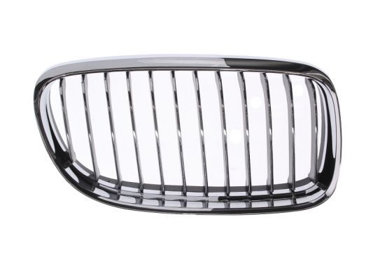 BLIC 6502-07-0062992PP Radiator Grille