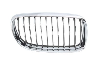 Radiator Grille BLIC 6502-07-0062992PQ
