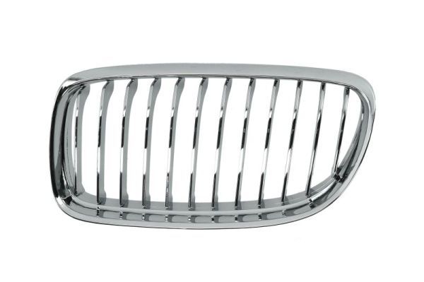BLIC 6502-07-0062993PP Radiator Grille