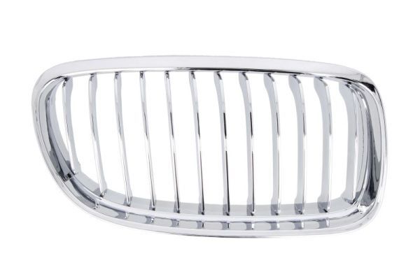 BLIC 6502-07-0062994PP Radiator Grille